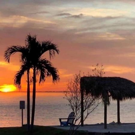 Condo Less Than 5 Min From Airport With Sunset Views Tampa Exteriör bild