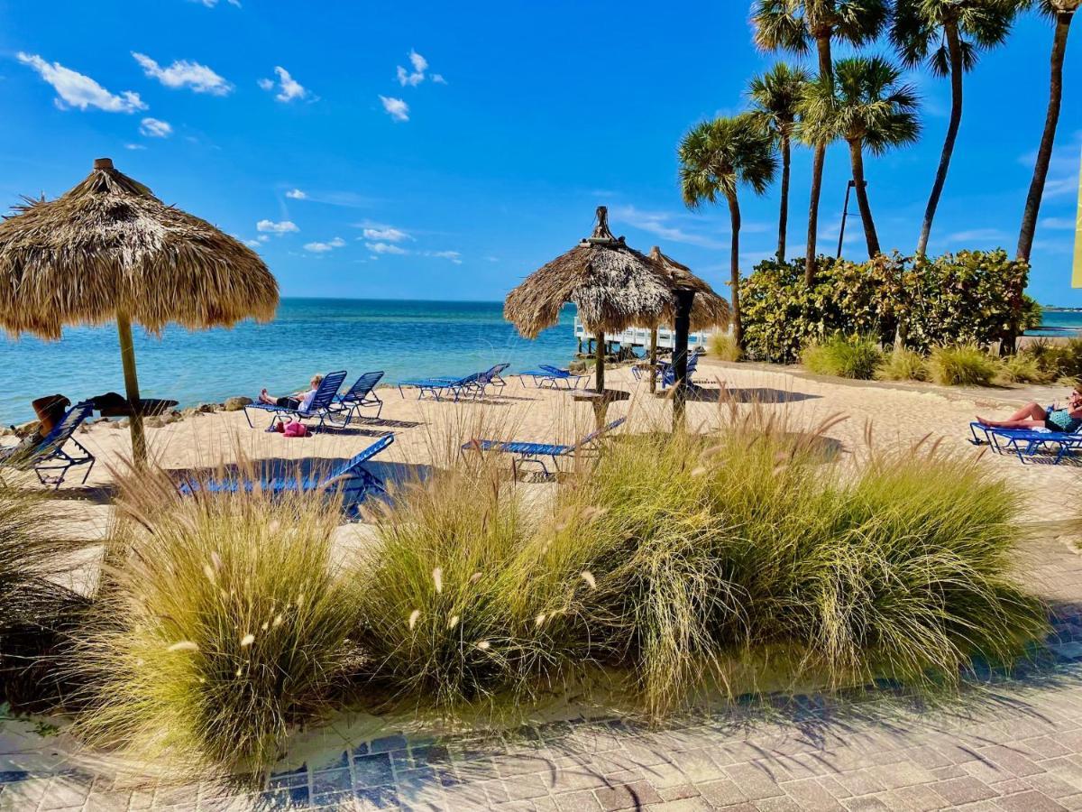 Condo Less Than 5 Min From Airport With Sunset Views Tampa Exteriör bild