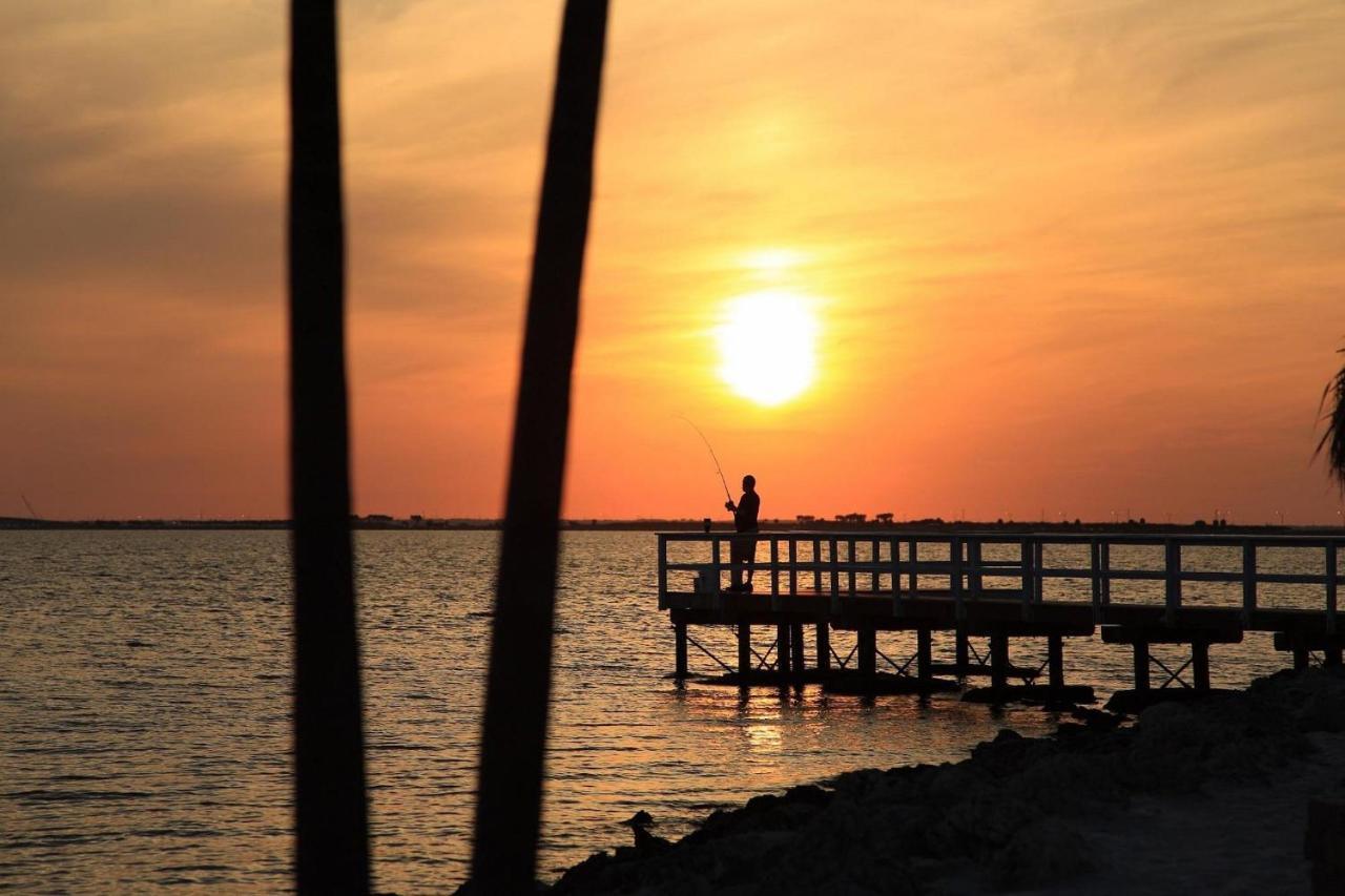 Condo Less Than 5 Min From Airport With Sunset Views Tampa Exteriör bild